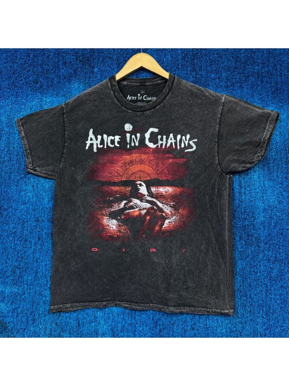 Alice In Chains “EST 1987” Graphic Mineral Wash T-Shirt Size Large